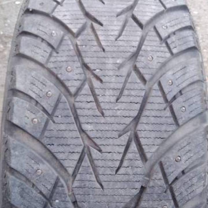 215/55 R17 Royal Black Royal Stud