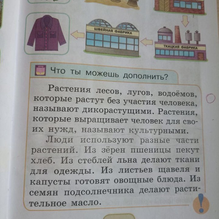 Окружающий мир учебник 1 класс, 2 части.