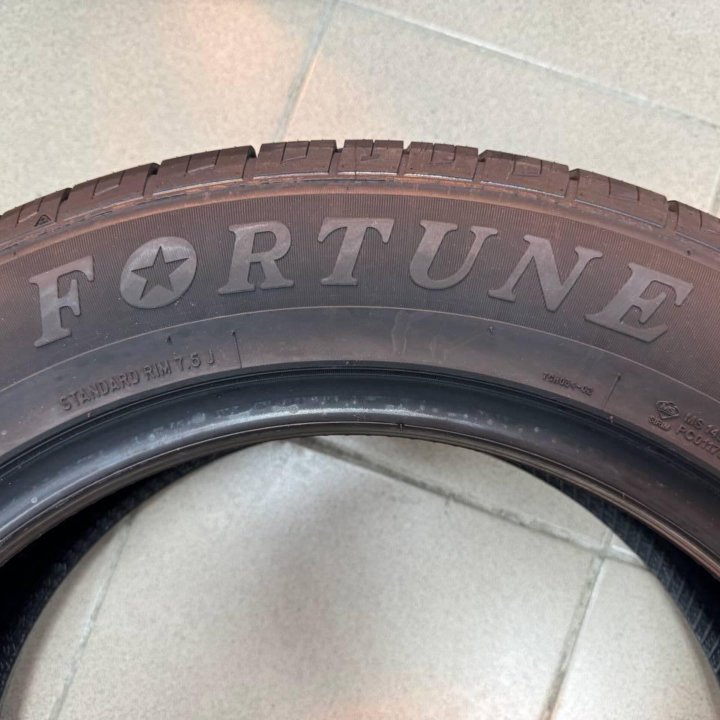 Fortune Perfectus FSR602 235/55 R18 100V