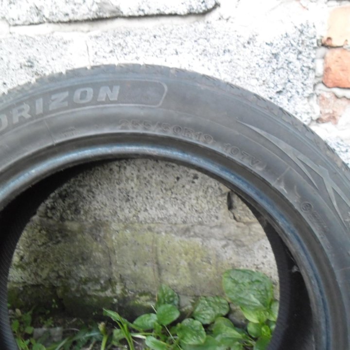 Всесезонные шины Horizon HW505 255/50 R19