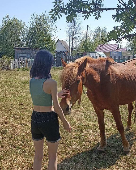 Выгул собак