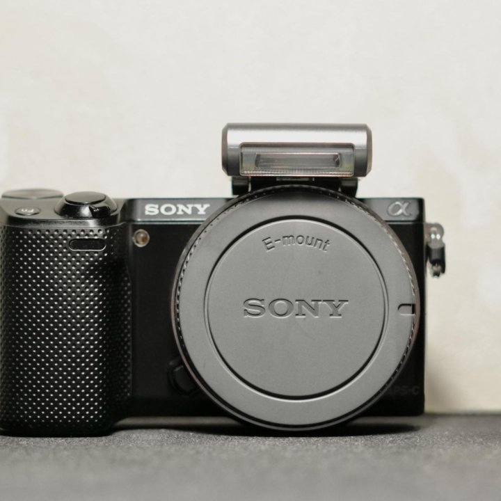 Sony NEX 5