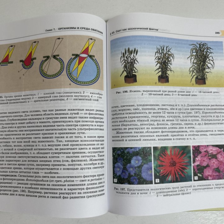 учебник Биология 11 А.В. Теремов; Р.А. Петросова