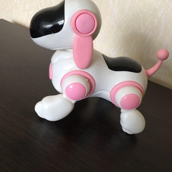 Собака робот.