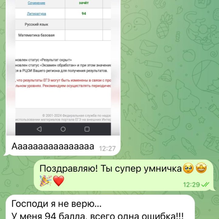 Репетитор по русскому и литературе