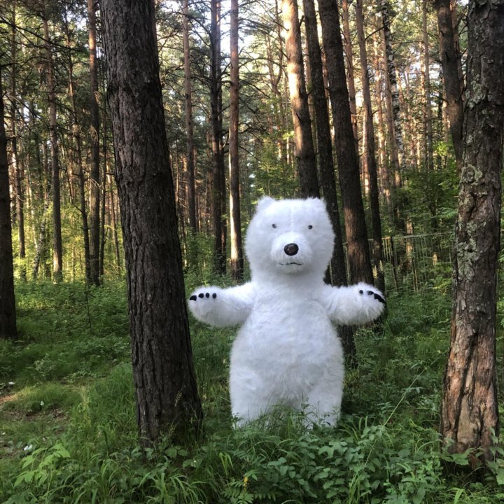 Поздравление Белого Мишки