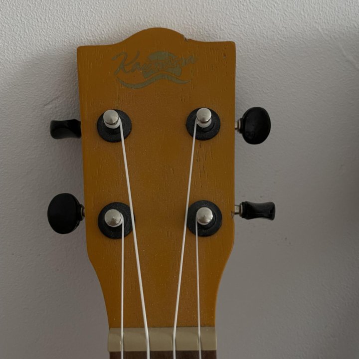 укулеле с чехлом