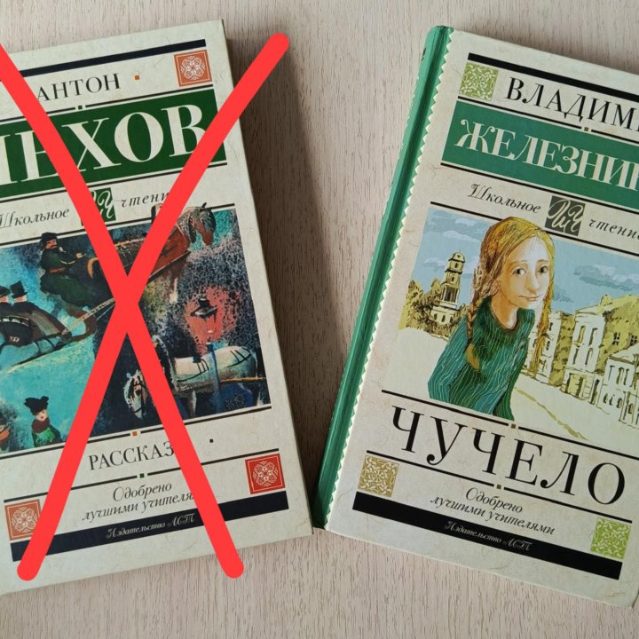 Книга В. К. Железников 