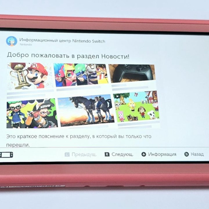 NINTENDO SWITCH LITE