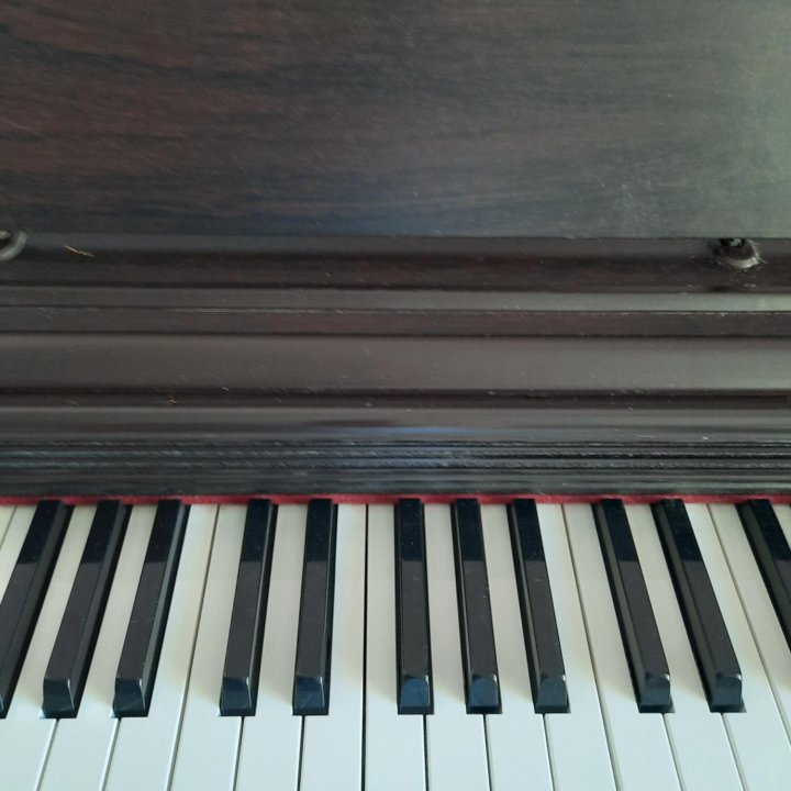 Цифровое пианино Casio Celviano AP-33