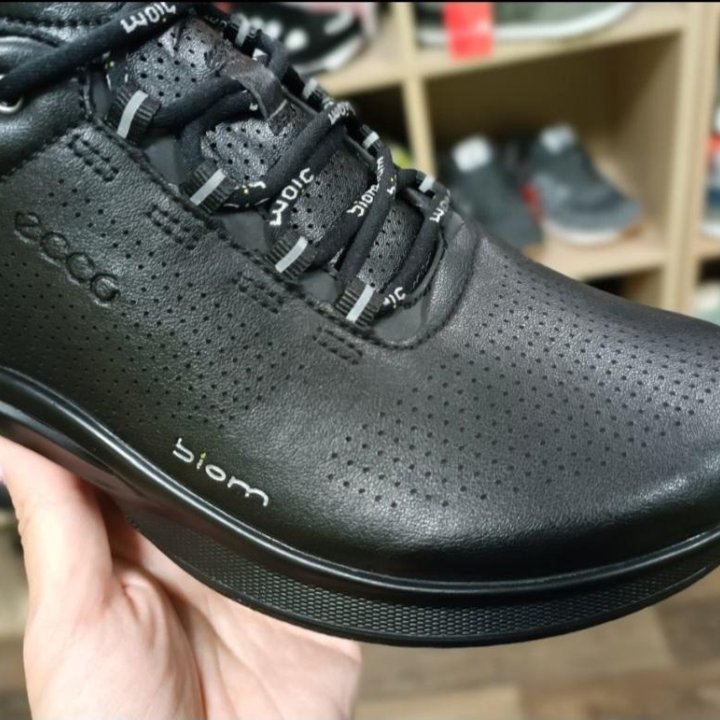 Кроссовки Ecco Biom