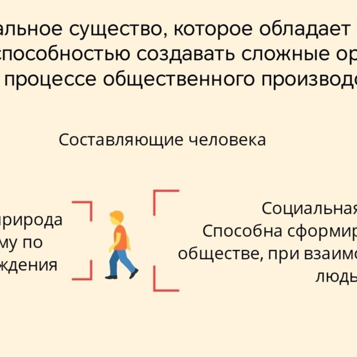 Подготовка к ОГЭ/Егэ по истории и обществознанию