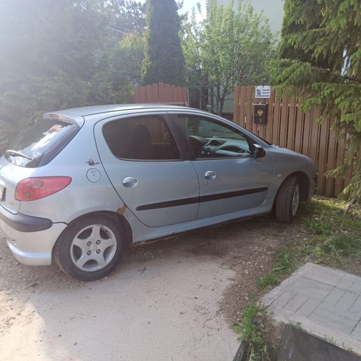 Peugeot 206, 2004