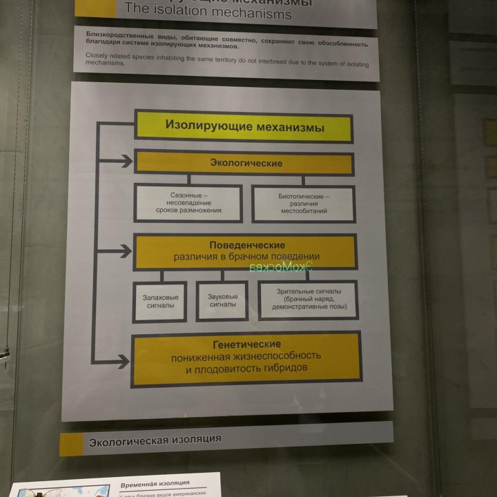 Репетитор по биологии