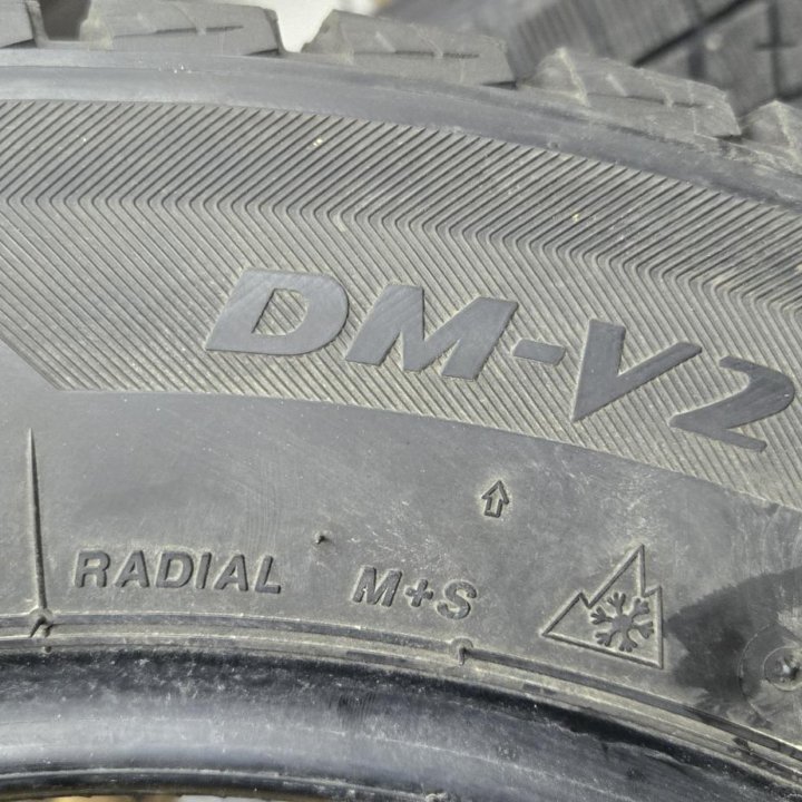 225/60/17 Bridgestone DM-V2 (2017 год).