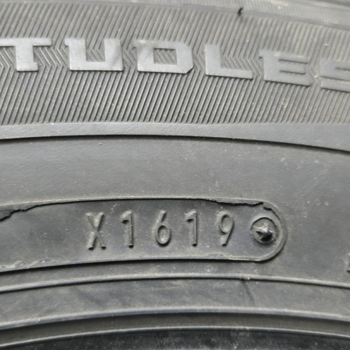 205/65/15 Dunlop WinterMaxx (2019 год).