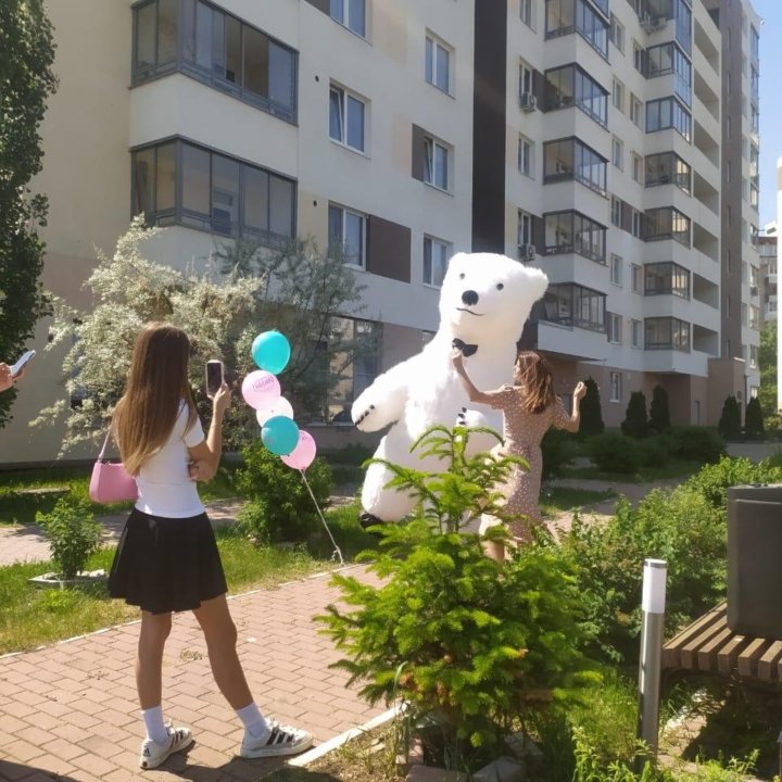 Белый мишка поздравление.