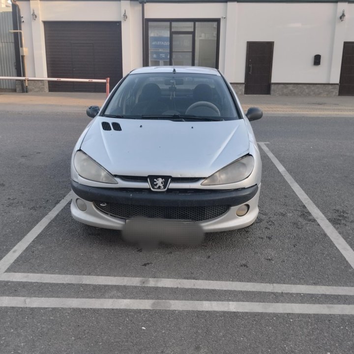 Peugeot 206, 2007