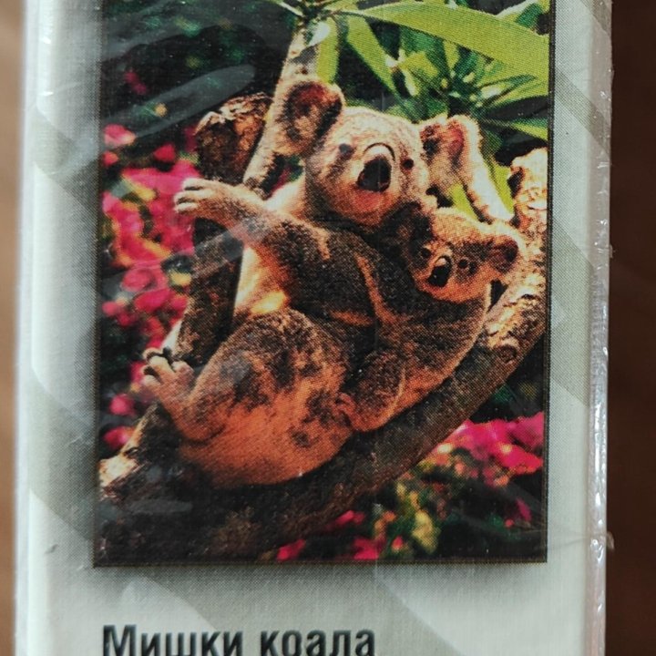 Пазлы с коалами