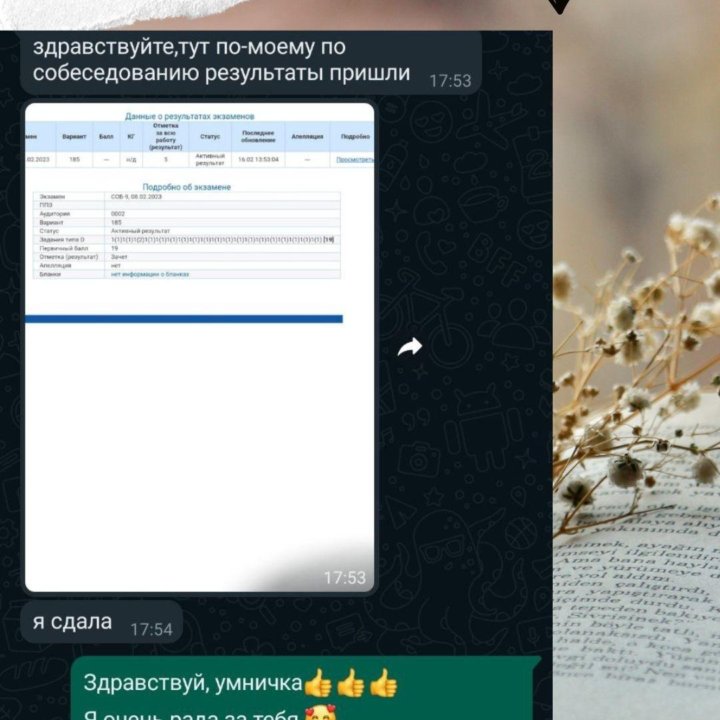 Репетитор по русскому языку и литературе