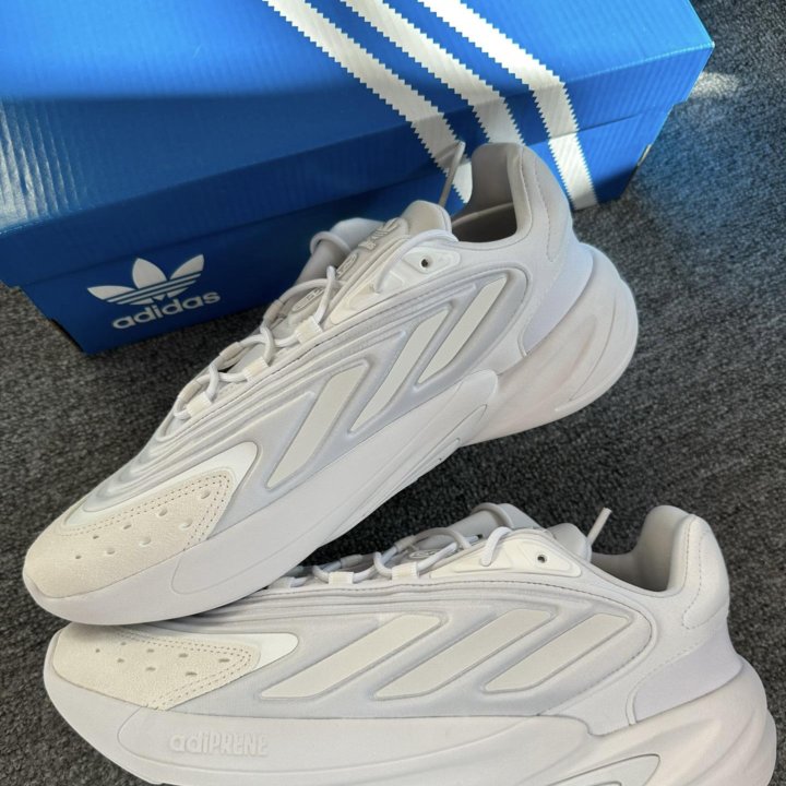 Adidas originals ozelia