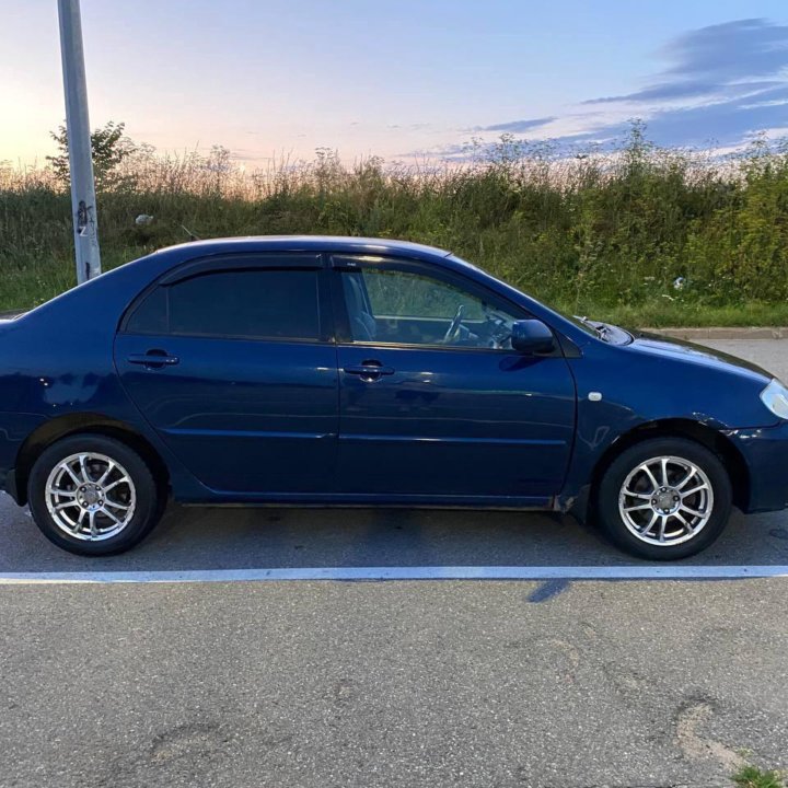 Toyota Corolla, 2005