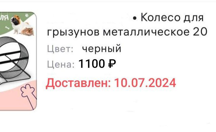 Новое колесо для шиншиллы, дегу