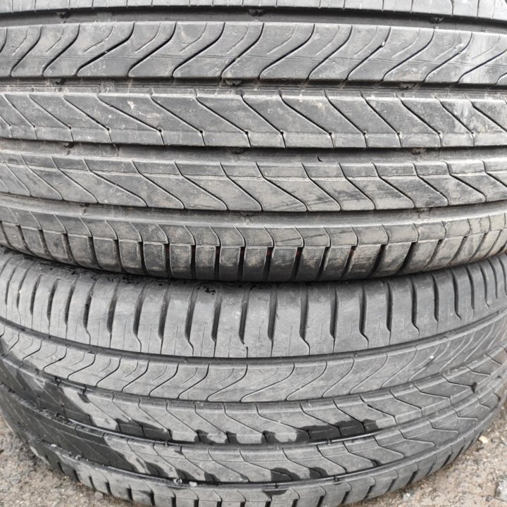 225/55 R19