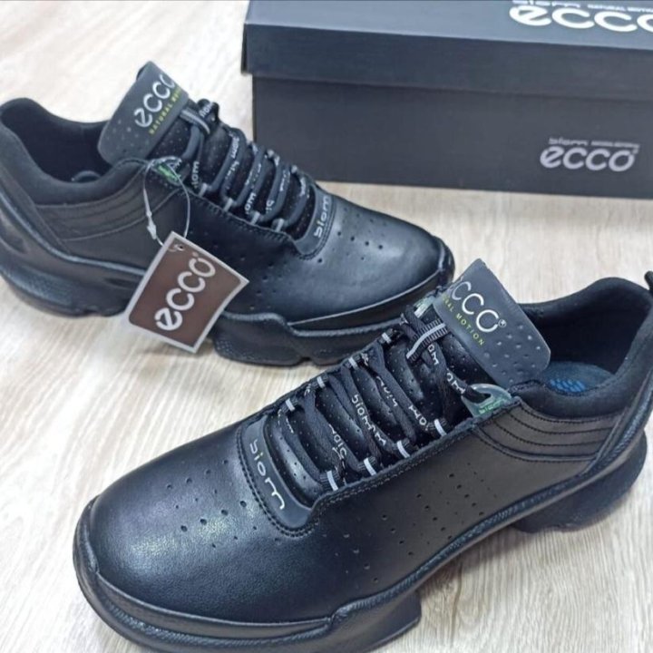 Кроссовки Ecco Biom