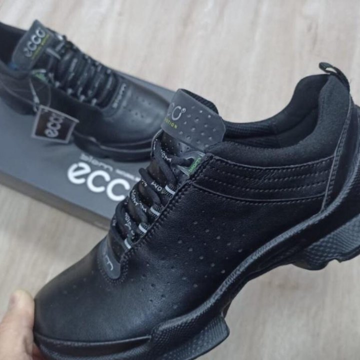 Кроссовки Ecco Biom