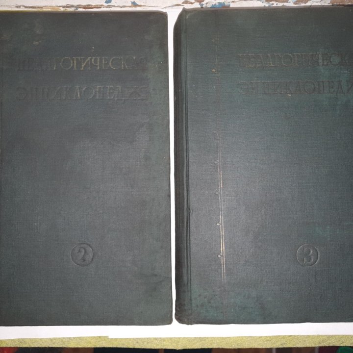 Педагогическая энциклопедия 1930 т 2,3