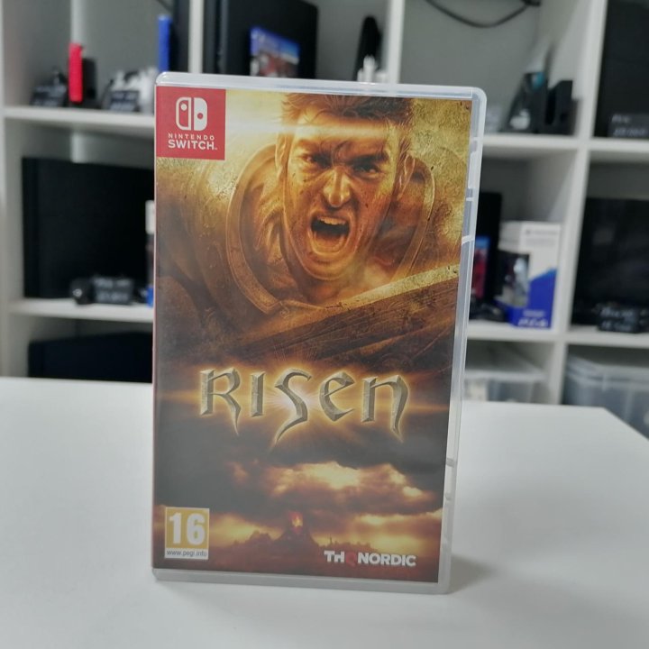 Risen Nintendo Switch