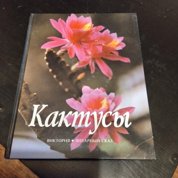 Кактусы книга