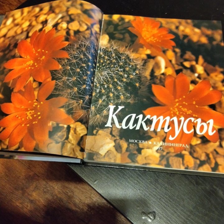 Кактусы книга