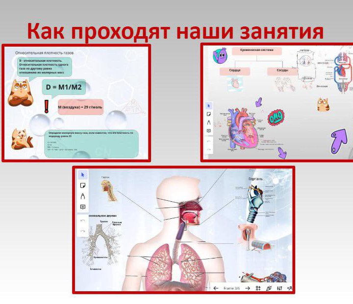 Репетитор по биологии