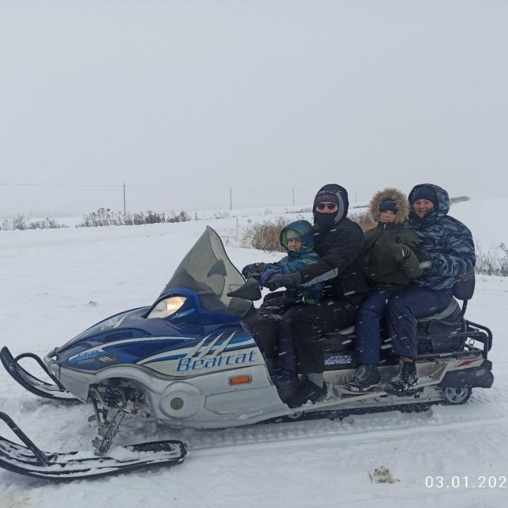 Снегоход Arctic cat 660t