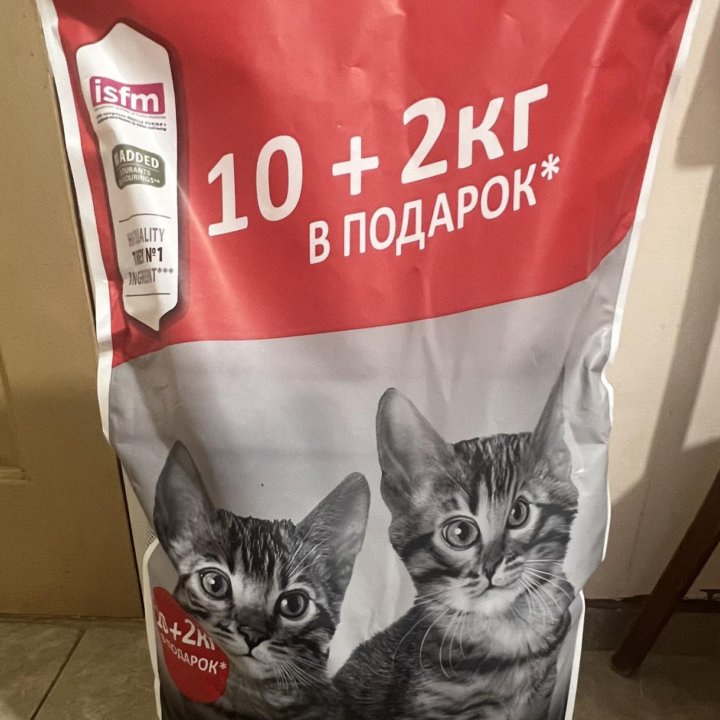 12 кг корма для котят до года