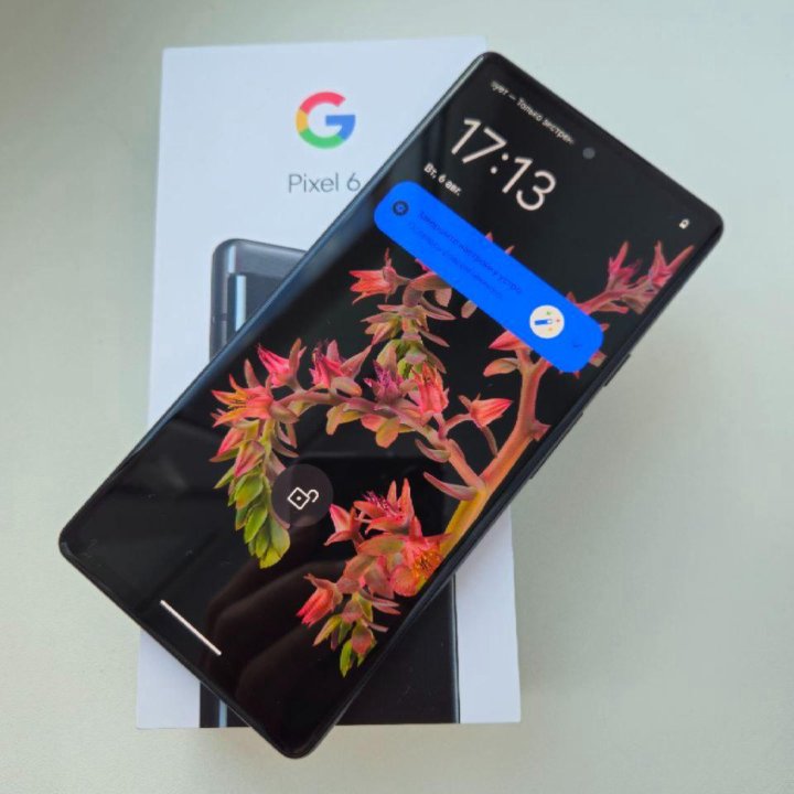 Gogle Pixel 6