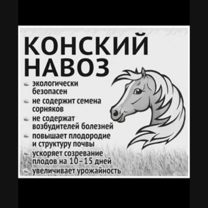 Навоз конский