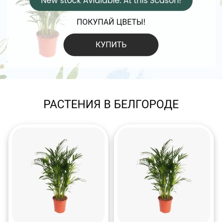 Разработка сайтов