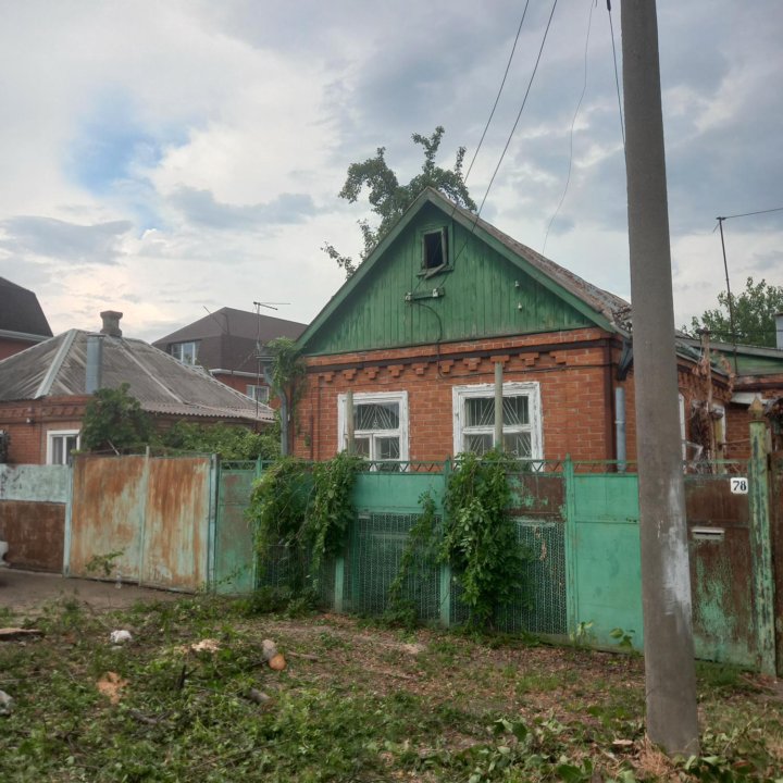 Спил деревьев/обрезка/покос травы