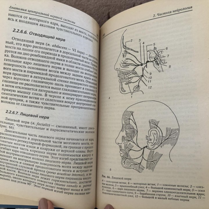 Хомутов, Кульба Анатомия ЦНС