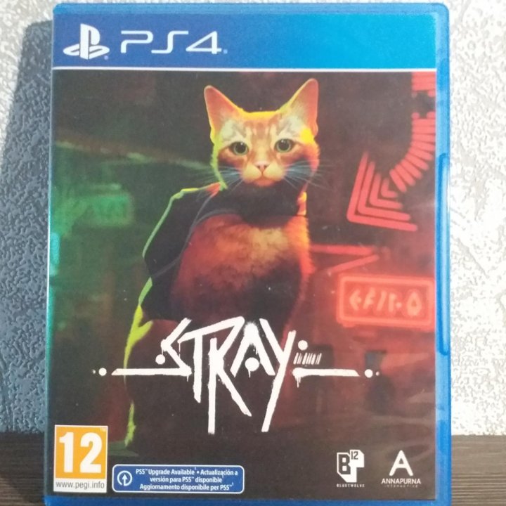 Strey (кот)