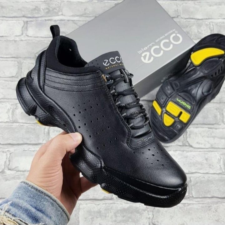 Кроссовки Ecco Biom