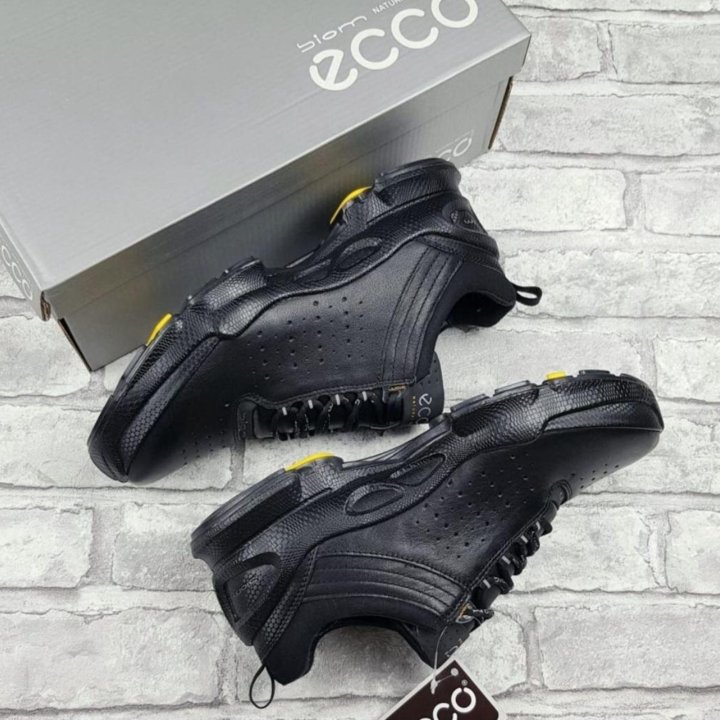 Кроссовки Ecco Biom