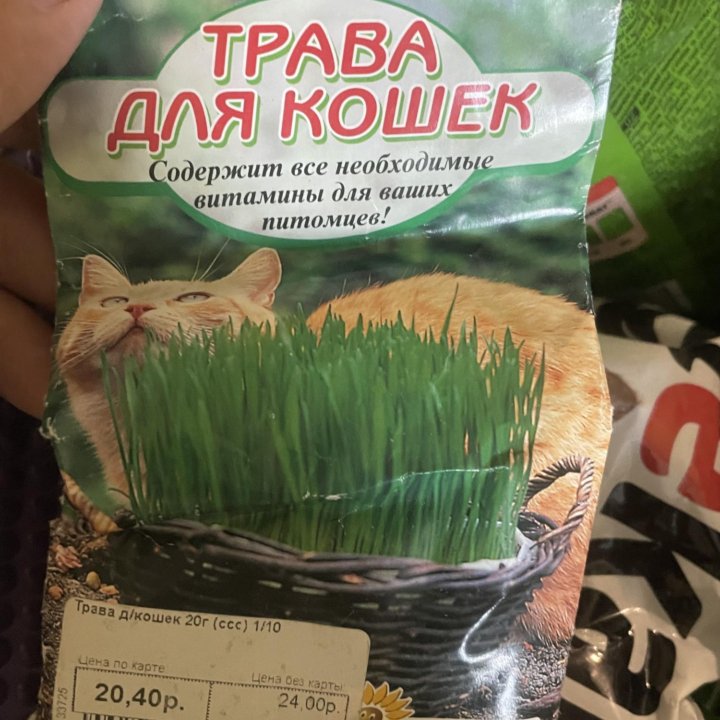 Все для кота