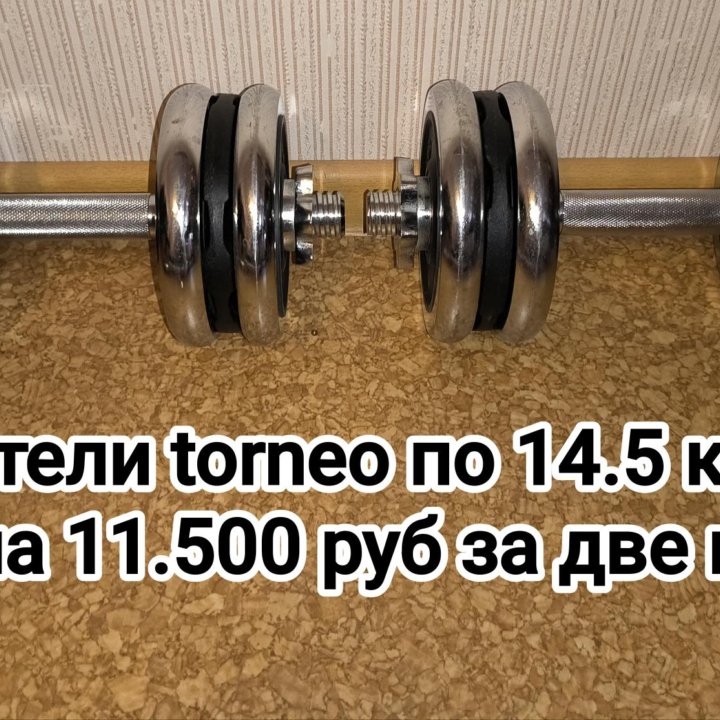 Гантели от 0.5 до 16 кг цельнолитые