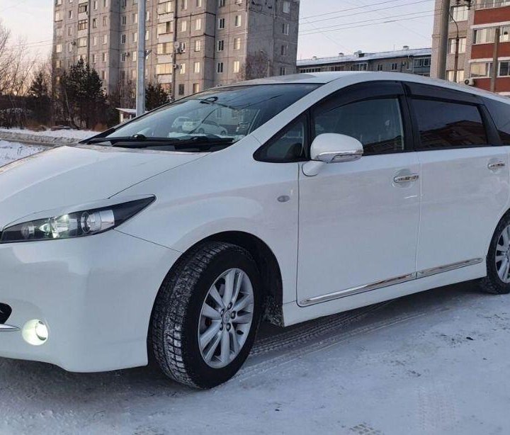 Накладки на двери Toyota Wish