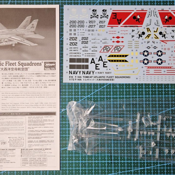 Hasegawa 00544 F-14A Tomcat 1:72