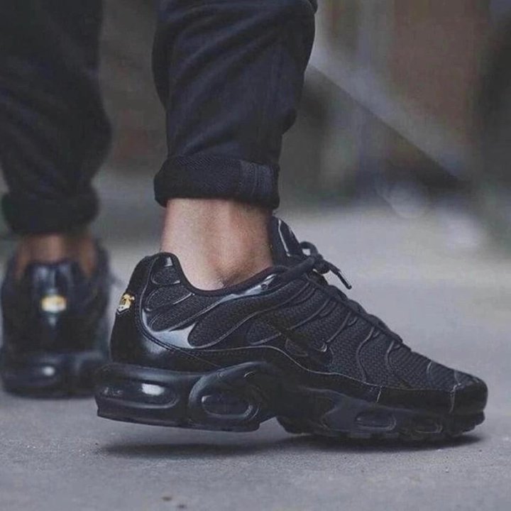 Кроссовки Nike Air Max Tn Plus